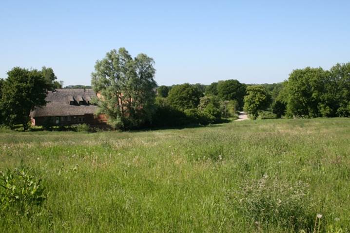 hofsommer01