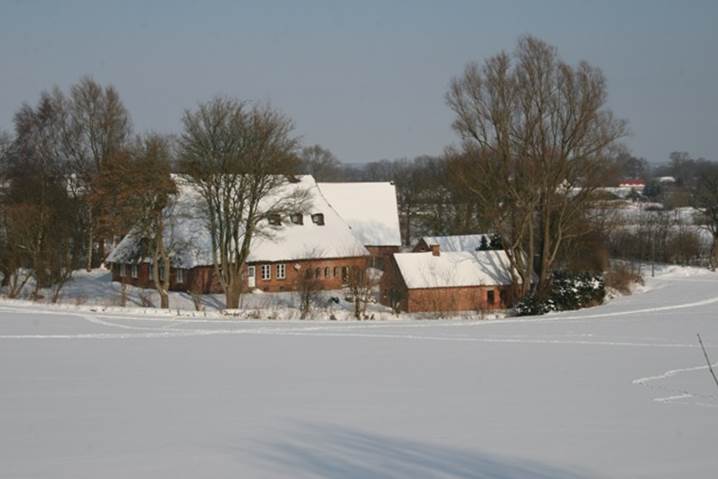 2010 02 16 005