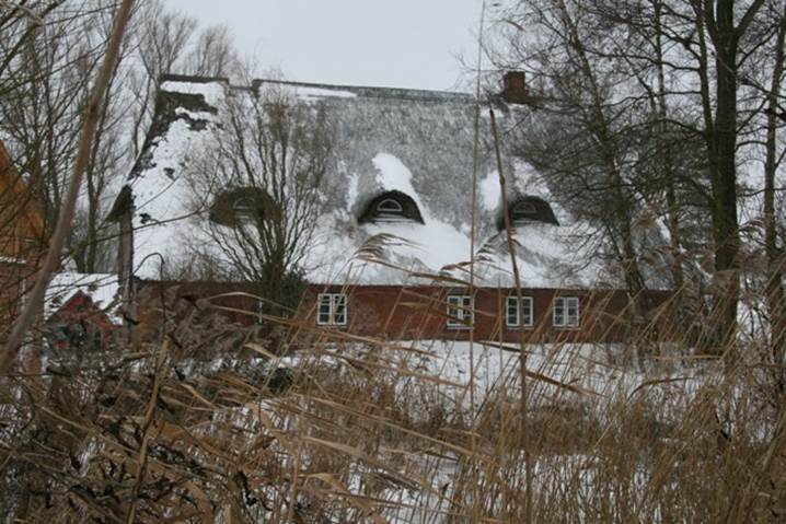 2010 01 10 018